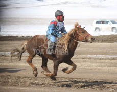 Түрүү аймгийн Алдарт уяач Ц.Энхбатын цавьдар 