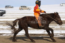 Эрдэнэтийн бүсэд түрүүлж айрагдсан хурдан соёолонгууд