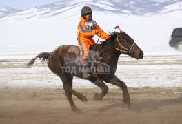 Эрдэнэтийн бүсэд түрүүлж айрагдсан хурдан соёолонгууд