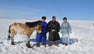 МУ-ын Алдарт уяач Г.Намсрайдорж: Хээр азарганы маань төл бүсийн наадмын түрүүг авчирсан