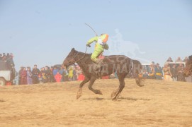 Өвөрхангайн баруун бүсийн наадамд түрүүлж, айрагдсан хурдан хүлгүүд