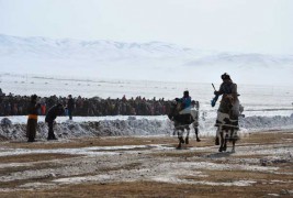 “Дүнжингаравын хурд-2012” уралдаанд түрүүлж айрагдсан их насны морьдын дэлгэрэнгүй танилцуулга