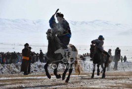 “Дүнжингаравын хурд-2012” уралдаанд түрүүлж айрагдсан их насны морьдын дэлгэрэнгүй танилцуулга