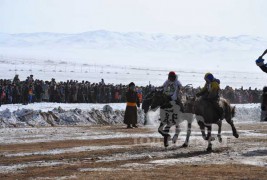 “Дүнжингаравын хурд-2012” уралдаанд түрүүлж айрагдсан их насны морьдын дэлгэрэнгүй танилцуулга