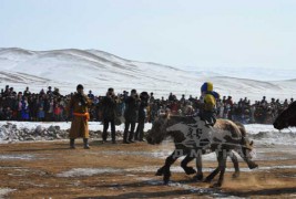 “Дүнжингаравын хурд-2012” уралдаанд түрүүлж айрагдсан их насны морьдын дэлгэрэнгүй танилцуулга