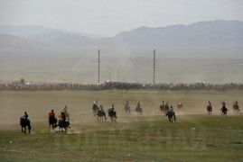 Анхны “Хотгойдын хурд”-д түрүүлж, айрагдсан дээд гурван насны морьдын фото