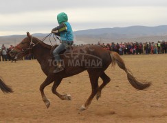 “Дэлтэй цэнхэрийн хурд-2013” бага гурван насны морьдын уралдаан боллоо