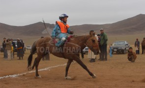 “Дэлтэй цэнхэрийн хурд-2013” бага гурван насны морьдын уралдаан боллоо