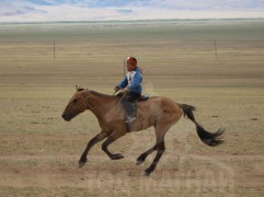 “Дэлтэй цэнхэрийн хурд-2013” уралдааны хурдан шүдлэнгийн фото