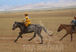 “Дэлтэй цэнхэрийн хурд-2013” уралдааны хурдан шүдлэнгийн фото