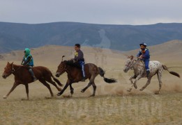 3.Тосонцэнгэл сумын уугуул, сумын МСУХ-ны нарийн бичгийн дарга Д.Гэндэнсүрэнгийн Буган халтар 