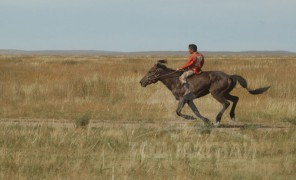 Халзангийн хурдан халтрууд хаа ч хурдална...