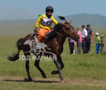 1.Орхон аймгийн Баян-Өндөр сумын харьяат Ц.Ойдовын хул азарга