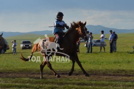 2. Орхон аймгийн Жаргалант сумын харьяат Х.Бямбацогтын хүрэн халзан шүдлэн