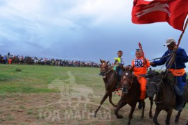 1. Тавдугаар багийн уяач Б.Алтанхурын хүрэн 