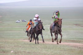 айргийн тавд хурдалсан Бадамгаравын Бадраагийн Өсөх зээрд, 6-д хурдалсан Архангай аймгийн Эрдэнэбулган сумын уугуул Гончигжавын Мөнхсайханы хээр