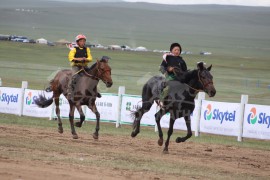 Эрлийз дунд насанд Монгол Улсын Ерөнхийлөгч Цахиагийн Элбэгдоржийн хээр үрээ түрүүллээ