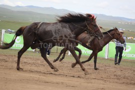 Эрлийз дунд насанд Монгол Улсын Ерөнхийлөгч Цахиагийн Элбэгдоржийн хээр үрээ түрүүллээ