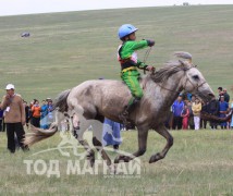 Д.Жаргалсайханы бор барианы зурхайд.Унаач А.Дэлгэрцог 