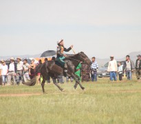 Хан Хэнтий аймгийн 90 жилийн ойн баяр наадмын их насны морьдын фото