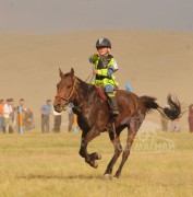 3. Орхон аймгийн Жаргалант сумын уяач Батбаярын хээр