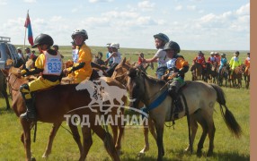 “ Халхын То ван” -гийн мялаалга наадам болно