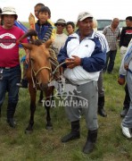 Алдартын мялаалганд 76 даага уралджээ