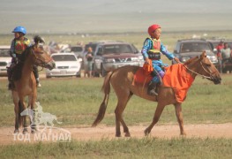 Хэнтий аймгийн 90 жилийн ой, зүүн бүсийн даншгийн хурдан шүдлэнгүүд