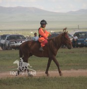 Хэнтий аймгийн 90 жилийн ой, зүүн бүсийн даншгийн хурдан шүдлэнгүүд