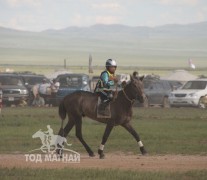 Хэнтий аймгийн 90 жилийн ой, зүүн бүсийн даншгийн хурдан шүдлэнгүүд