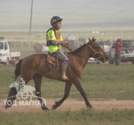 Хэнтий аймгийн 90 жилийн ой, зүүн бүсийн даншгийн хурдан шүдлэнгүүд