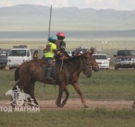 Хэнтий аймгийн 90 жилийн ой, зүүн бүсийн даншгийн хурдан шүдлэнгүүд