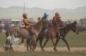 Хэнтий аймгийн 90 жилийн ой, зүүн бүсийн даншгийн хурдан шүдлэнгүүд