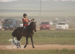 Хэнтий аймгийн 90 жилийн ой, зүүн бүсийн даншгийн хурдан шүдлэнгүүд