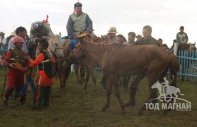 Хэнтий аймгийн 90 жилийн ой, зүүн бүсийн даншгийн хурдан шүдлэнгүүд