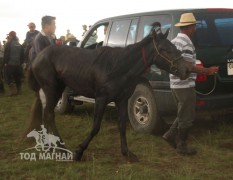 Хэнтий аймгийн 90 жилийн ой, зүүн бүсийн даншгийн хурдан шүдлэнгүүд