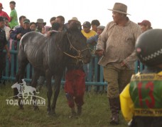 Хэнтий аймгийн 90 жилийн ой, зүүн бүсийн даншгийн хурдан шүдлэнгүүд