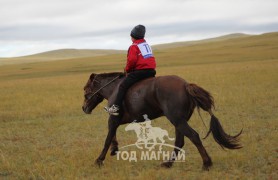 Их морины айргийн дөрөв Б.Одонтунгалагийн хүрэн