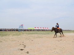 Соён гэгээрүүлэгч говийн V ноён хутагт Данзанравжаагийн мэлмий гийсний 215 жилийн ой, говийн бүсийн уралдаанд эхний 10-т хурдалсан хурдан их насны морьд