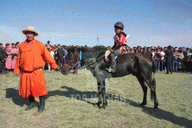 Их насны айргийн дөрөв Болдбаатарын хар