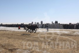 Дорнод аймгийн морин спорт уяачдын холбооны 15 жилийн ойд түрүүлж айрагдсан хурдан хүлгүүд