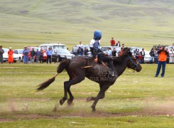 4.Баяннуур сумын харьяат Ж.Бадамын хээр