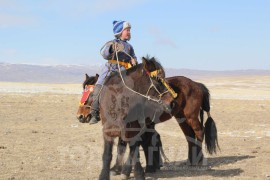 Говь-Алтай аймгийн Баян-Уул сумын Алдарт уяач Хангайхүү: Өөрийн унаган мориор наадна гэдэг сайхан шүү