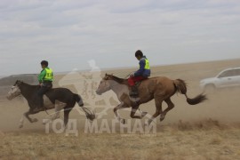 С.Ганхуягийн бор түрүүлж, Т.Галбадрахын ногоон айрагдлаа