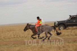 С.Ганхуягийн бор түрүүлж, Т.Галбадрахын ногоон айрагдлаа