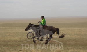 С.Ганхуягийн бор түрүүлж, Т.Галбадрахын ногоон айрагдлаа