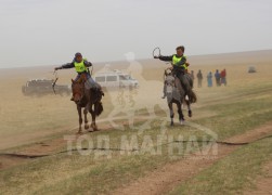 С.Ганхуягийн бор түрүүлж, Т.Галбадрахын ногоон айрагдлаа