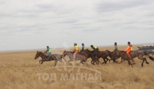 С.Ганхуягийн бор түрүүлж, Т.Галбадрахын ногоон айрагдлаа