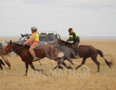 С.Ганхуягийн бор түрүүлж, Т.Галбадрахын ногоон айрагдлаа