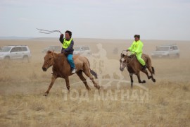 С.Ганхуягийн бор түрүүлж, Т.Галбадрахын ногоон айрагдлаа